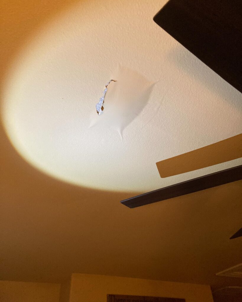 Rodent chewed water line in attic