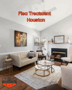 Flea Treatment Houston